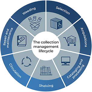 Collection management lifecycle